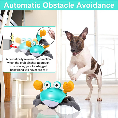 Interactive Dancing Crab Dog Toy