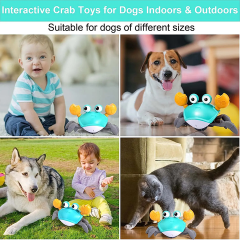 Interactive Dancing Crab Dog Toy