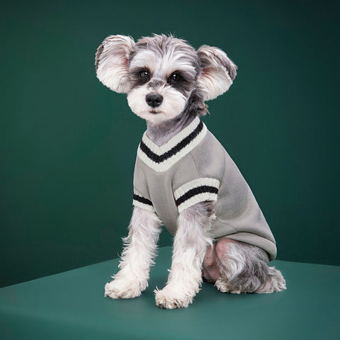 Pet Knitwear Pullover Clothes