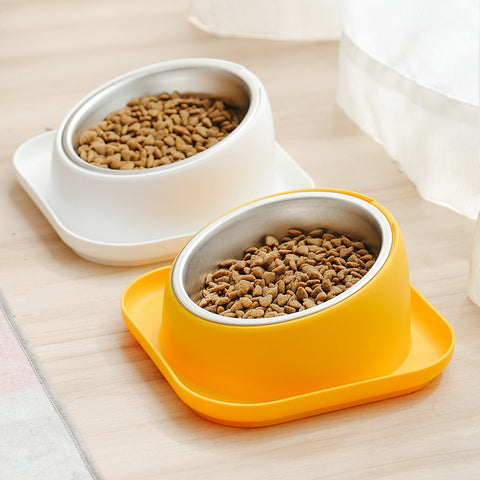 Pet Feeding Bowl