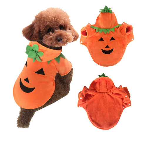 Halloween Pet Pumpkin Costume