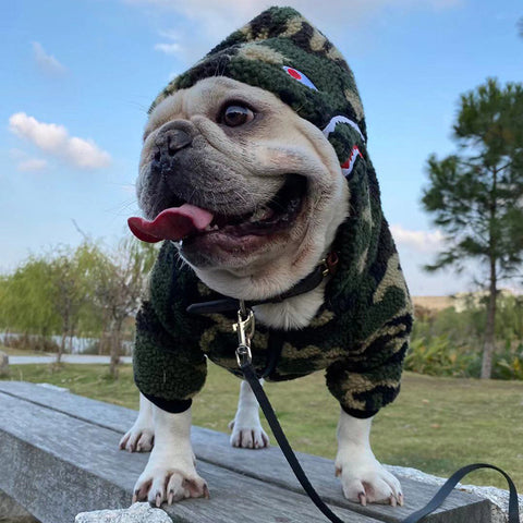 Pet Hoodie Camouflage Clothes