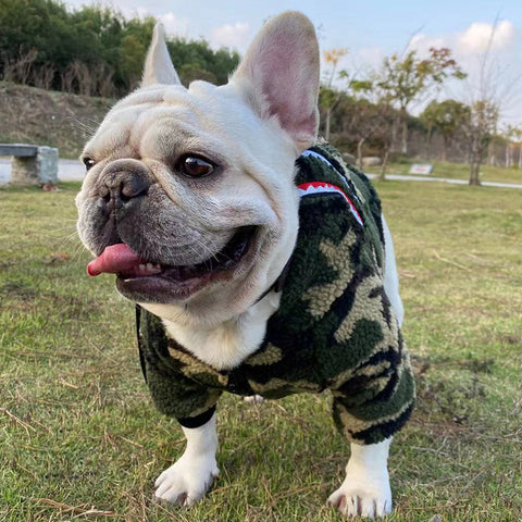 Pet Hoodie Camouflage Clothes