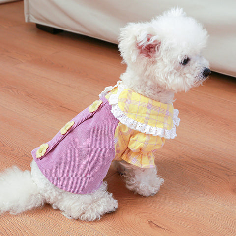 Doll Collar Applique Pet Dress