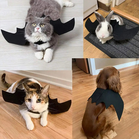 Pet Halloween Costumes