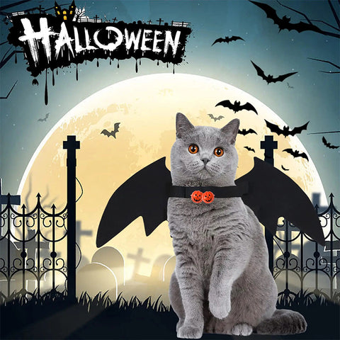 Pet Halloween Costumes