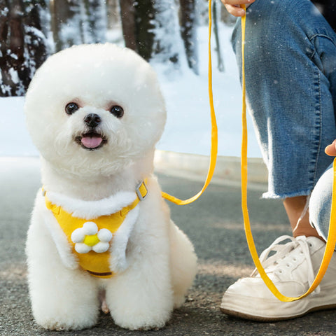 Vest Style Cartoon Harness & Leash Set