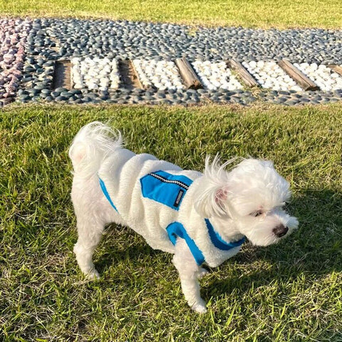 Polar Fleece Patchwork Pet Vest