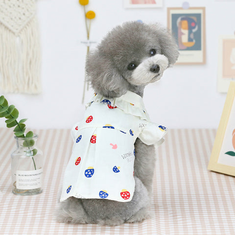 Cartoon Mushroom Print Pet Shirt