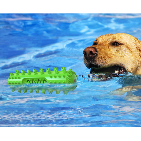 Teeth Cleaning Chew Interactive Dog Toy