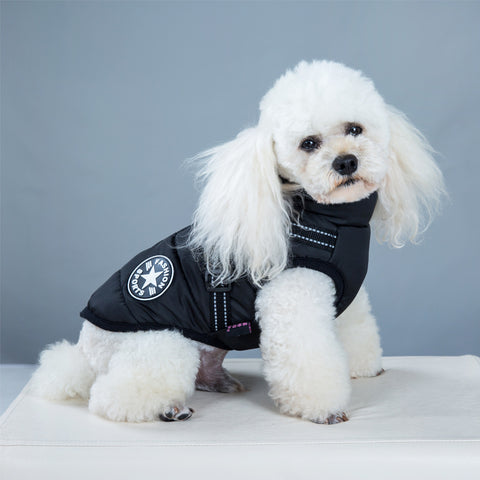 Waterproof Dog Coat With Harness