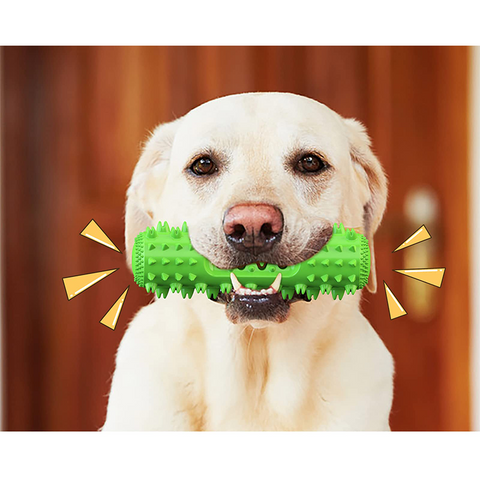 Teeth Cleaning Chew Interactive Dog Toy