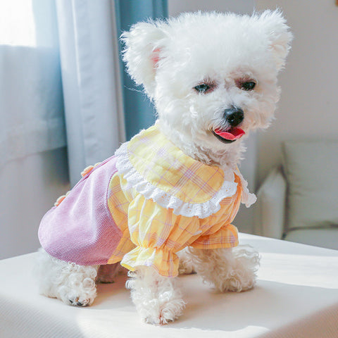 Doll Collar Applique Pet Dress