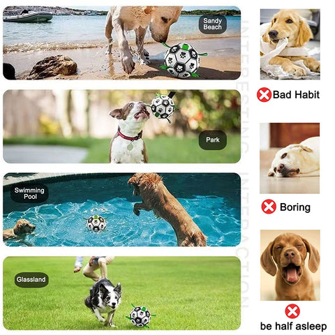 Interactive Dog Soccer Ball Toys