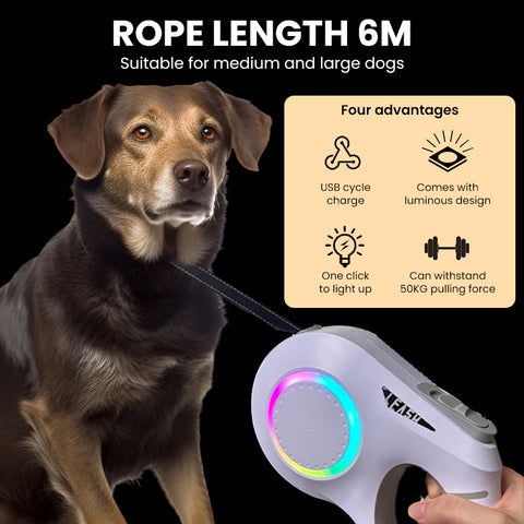 Retractable Dog Leash with LED Light