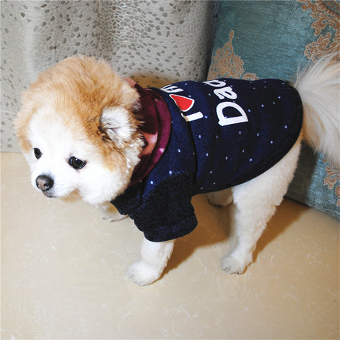 Letter Print Pet Hoodie