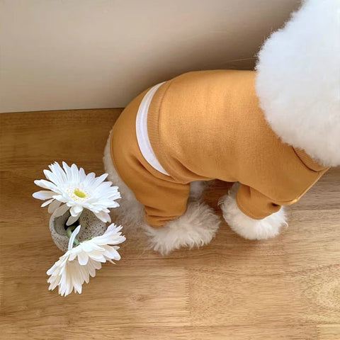 Solid Color Casual Pet Jumpsuit