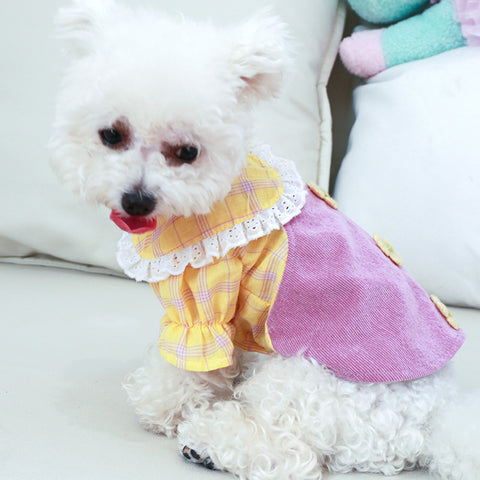 Doll Collar Applique Pet Dress