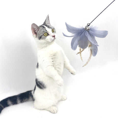 Interactive Sucker Feather Cat Toys Stick