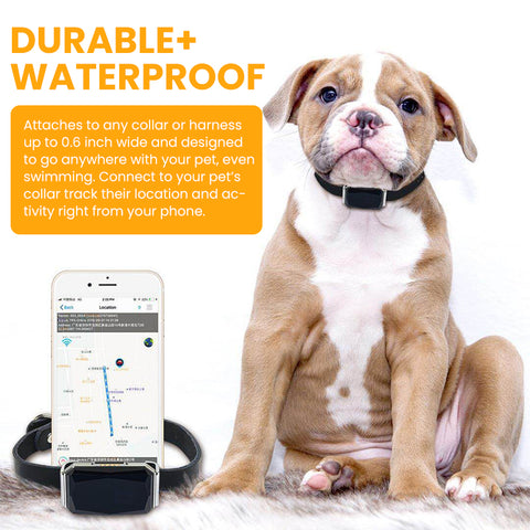 Smart Pet GPS Tracker Collar