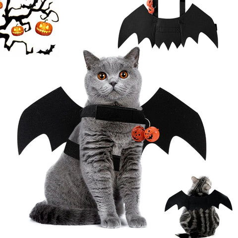 Pet Halloween Costumes