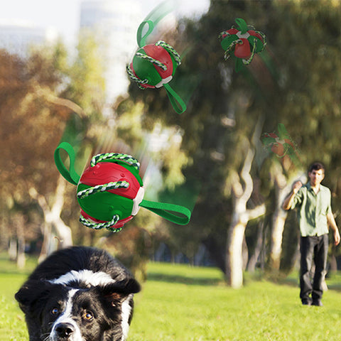 Interactive Training Frisbee Ball Dog Toys