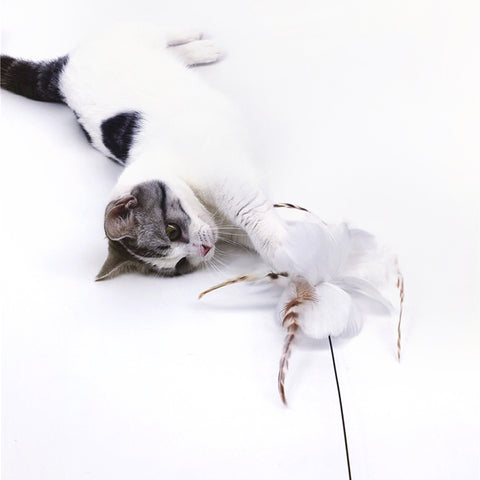 Interactive Sucker Feather Cat Toys Stick