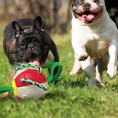 Interactive Training Frisbee Ball Dog Toys