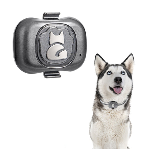 Smart Pet GPS Tracker Collar