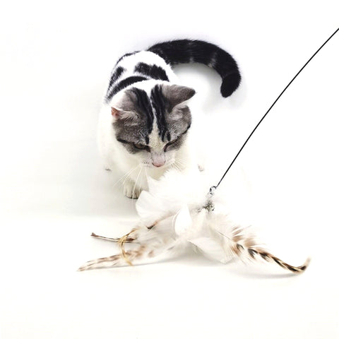 Interactive Sucker Feather Cat Toys Stick