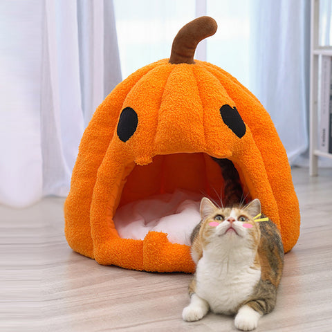 Pumpkin Cat & Dog House