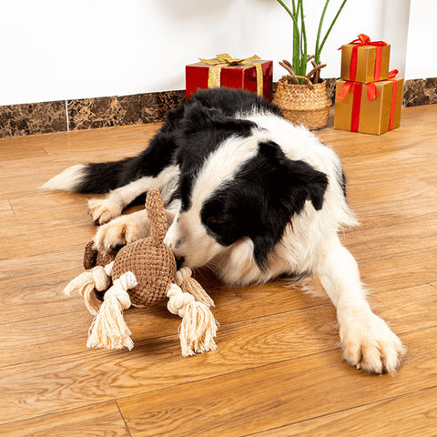 Squeaky Molar Relieve Anxiety Plush Chewing Dog Toys