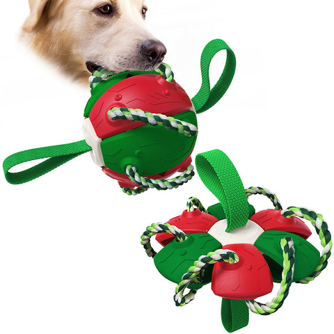 Interactive Training Frisbee Ball Dog Toys