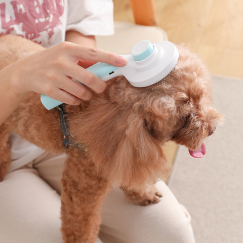 Easy 2 in 1 Pet Hair Brush & Nail Grinder