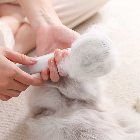 Easy 2 in 1 Pet Hair Brush & Nail Grinder