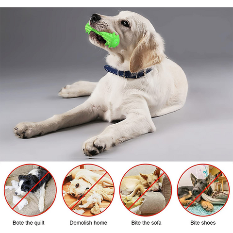 Teeth Cleaning Chew Interactive Dog Toy