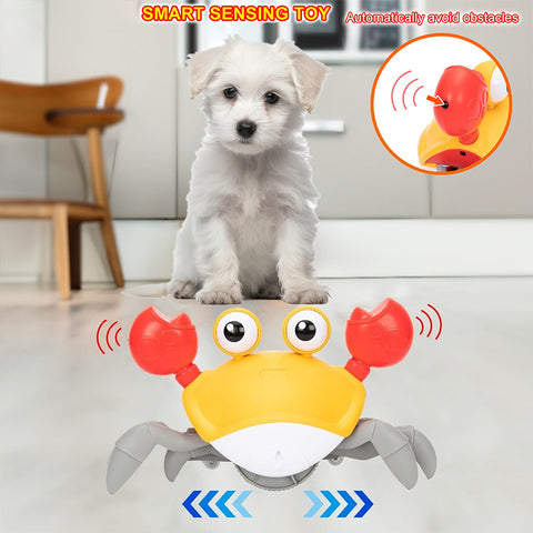 Interactive Dancing Crab Dog Toy