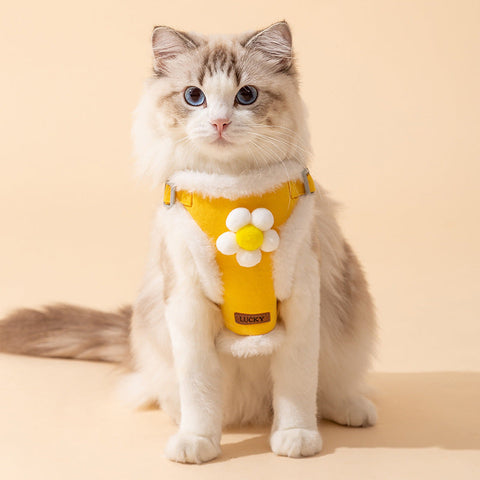 Vest Style Cartoon Harness & Leash Set