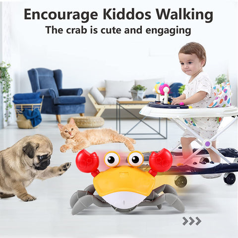 Interactive Dancing Crab Dog Toy