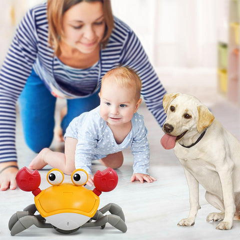 Interactive Dancing Crab Dog Toy