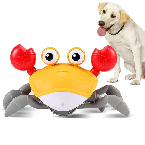 Interactive Dancing Crab Dog Toy