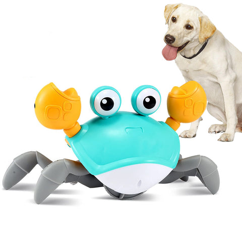 Interactive Dancing Crab Dog Toy