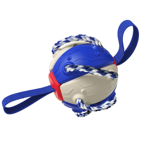 Interactive Training Frisbee Ball Dog Toys